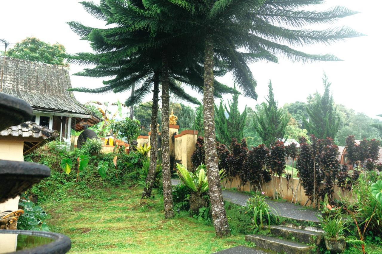 Tunjung Sari Villa Bedugul Bedugul  Exterior photo
